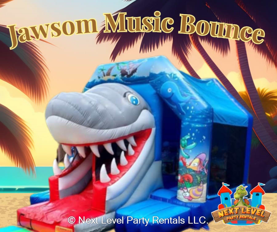Water Slides And Dry Slides Bounce House rental, water slide rental