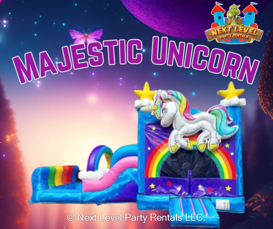 Water Slides And Dry Slides Bounce House rental, water slide rental